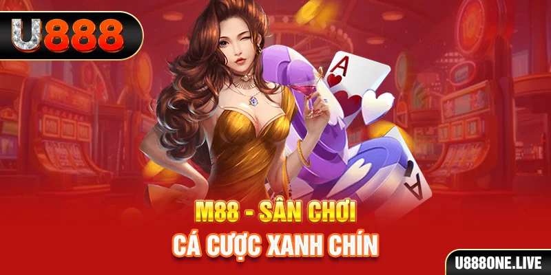97win11 gà chọi cậu thanh