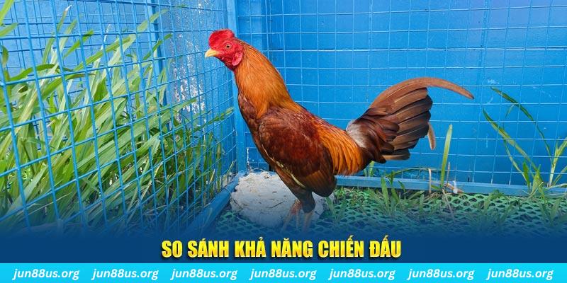 97win11 xổ số tiền giang
