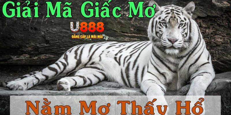 97win11 xổ số kiến thiết miền bắc