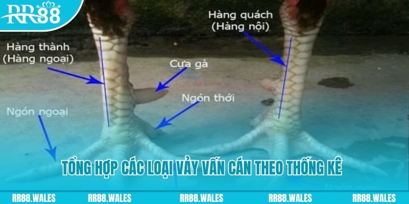 97win11 nổ hũ chơi như thế nào