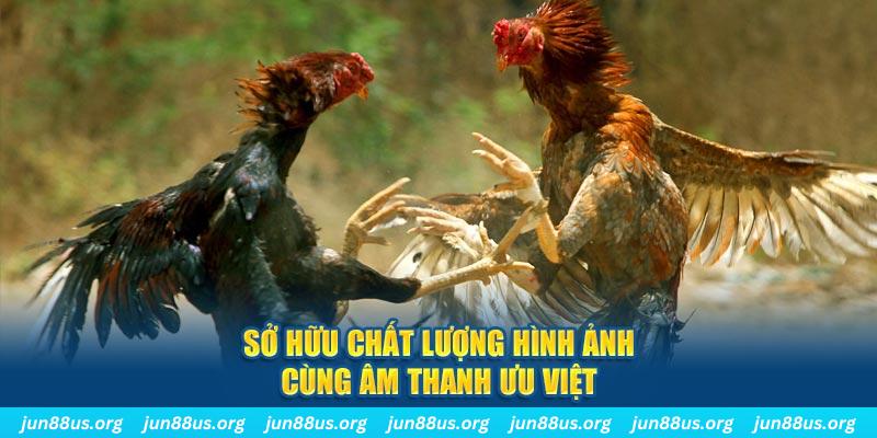 97win11 tai game danh bai ve may tinh