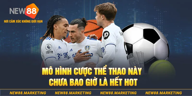 97win11 gà chọi c1 thomo